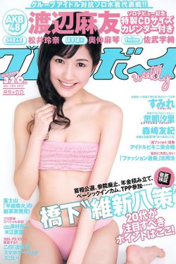 王牌贱碟